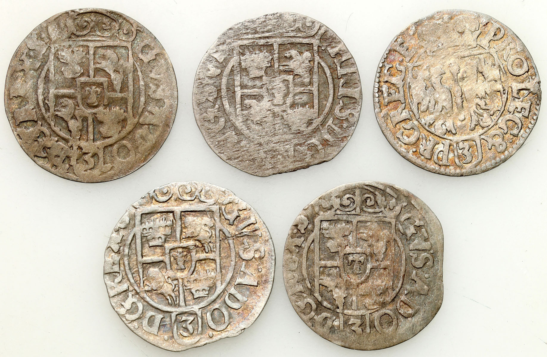 Gustaw II Adolf, Krystyna, Jan Zygmunt Hohenzollern Półtorak 1620 - 1635, zestaw 5 sztuk